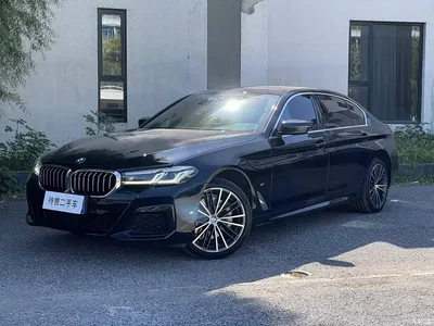 2023 BMW 5 Series 530Li Leading M Sport Package, фото 1, лот 10445483