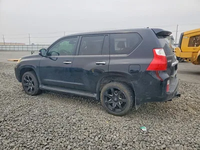 2010 LEXUS GX 460, фото 2, лот 10844085