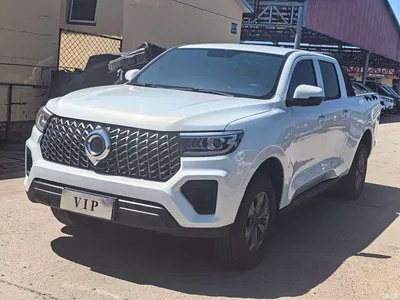 2023 Great Wall Pao 2.0T Commercial Auto Gasoline 4WD Navigation Long Box GW4C20B, фото 1, лот 10246058