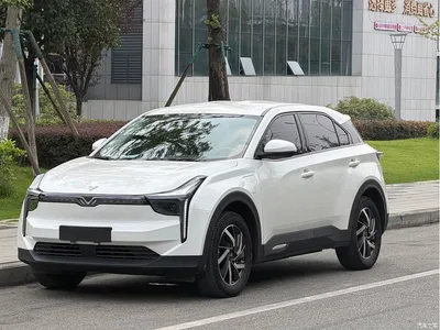 2021 Nezha Auto Neta U Pro 400 Cruise Edition, фото 1, лот 10447672
