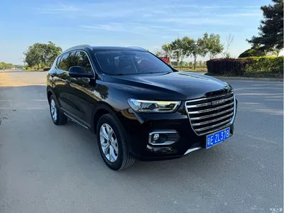 2019 Haval H6 Red Label 1.5GDIT Automatic Champion Version, фото 3, лот 10283094