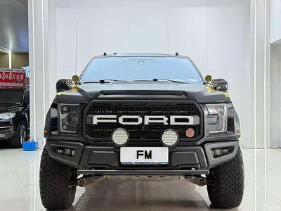 2018 Ford F-150 Raptor 3.5T Raptor Performance Enhanced Edition, фото 2, лот 10279677