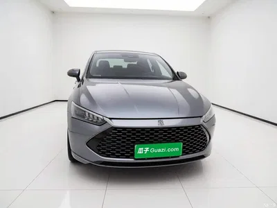 2023 BYD Qin PLUS Champion Edition DM-i 120KM Leading Type, фото 2, лот 11450549