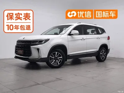 2023 Dongfeng Fengxing T5 Golden Age 1.6L Manual Dream Builder 5-Seater, фото 1, лот 11148216