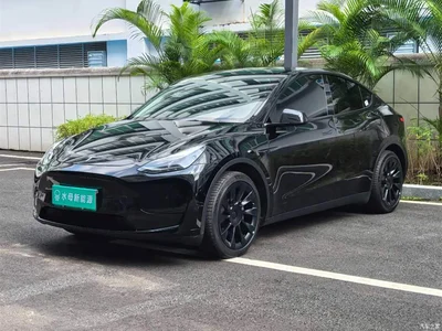 2022 Tesla Model Y Rear-Wheel Drive Version, фото 1, лот 10455227