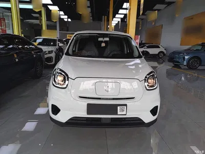 2024 Leapmotor T03 310 Comfort Edition, фото 3, лот 10441939