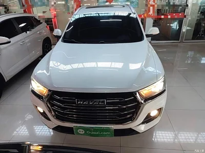 2021 Haval H6 National Trend Edition 1.5T Automatic Urban Edition, фото 3, лот 10334318