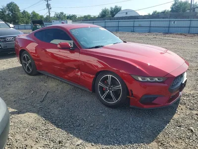 2024 FORD MUSTANG, фото 4, лот 10545189