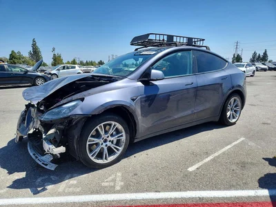 2023 TESLA MODEL Y, фото 1, лот 10683962