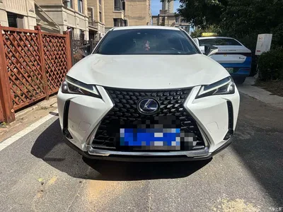 2020 Lexus UX 260h Explore Fun Edition China V, фото 2, лот 10438676