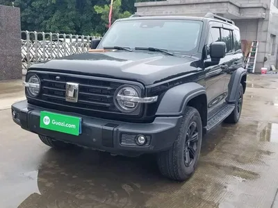 2023 Tank 300 Off-Road Edition 2.0T Conqueror, фото 2, лот 10345373