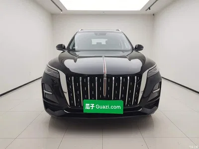 2023 Hongqi HS5 2.0T Flag Enjoy Pro Edition, фото 2, лот 10288237
