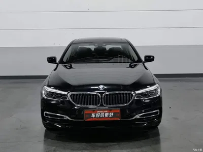 2020 BMW 5 Series New Energy 530Le Range Upgrade Luxury Package, фото 3, лот 10694072