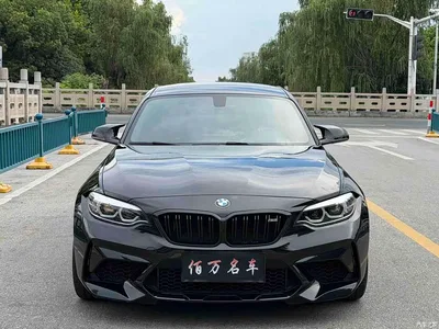 2018 BMW M2 Thunder Edition, фото 2, лот 10477919