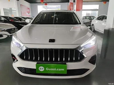 2021 Sehol A5 1.5T CVT Luxury Smart, фото 3, лот 10887279