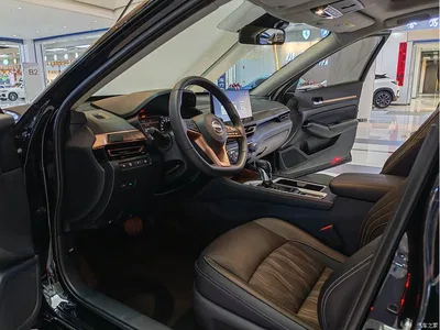 2025 Nissan Teana 2.0L SV Black Gold Edition, фото 4, лот 10340459