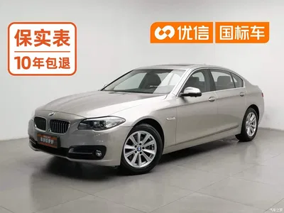 2014 BMW 5 Series 520Li Elegance, фото 1, лот 10904986