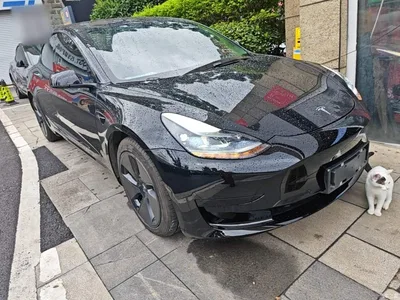 2021 Tesla Model 3 Facelift Standard Range RWD Upgrade 3D1, фото 4, лот 11212646