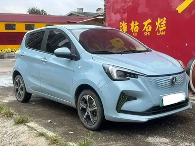2022 Changan Benben E-Star Appreciation Edition Colorful LFP, фото 3, лот 11196868