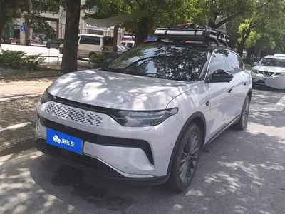 2024 Leapmotor C11 Extended Range 300 Premium Edition, фото 1, лот 10316905