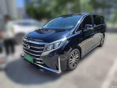 2021 GAC Trumpchi Trumpchi M8 Leading Show Series 390T Ultimate Edition, фото 1, лот 10666440
