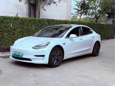 2019 Tesla Model 3 Standard Range Rear-Wheel Drive Upgrade, фото 1, лот 10352770