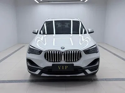 2022 BMW X1 sDrive20Li Premium, фото 2, лот 10466433