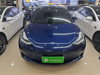 2019 Tesla Model 3 (Import) Long Range RWD Version, фото 3, лот 10369646