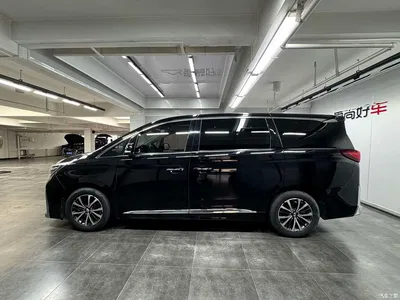 2021 GAC Trumpchi Trumpchi M8 Leading Show Series 390T Premium Edition, фото 4, лот 11188240