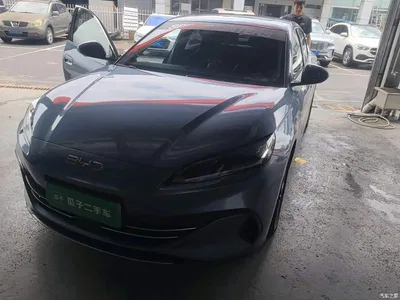 2024 BYD Seal 06 New Energy DM-i 120KM Premium, фото 2, лот 10282780