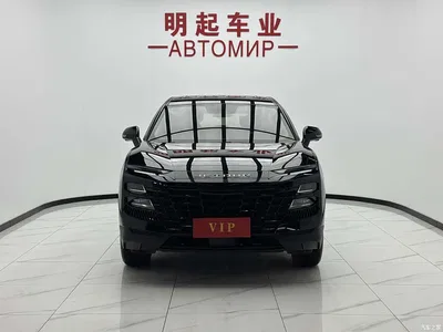 2023 Jetour Dasheng 1.5T DCT Starlight PRO, фото 2, лот 10827065