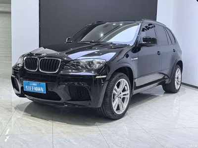 2010 BMW X5 M, фото 1, лот 10431978