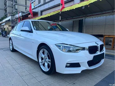 2018 BMW 3 Series 320Li Leading M Sport Package, фото 3, лот 11565015