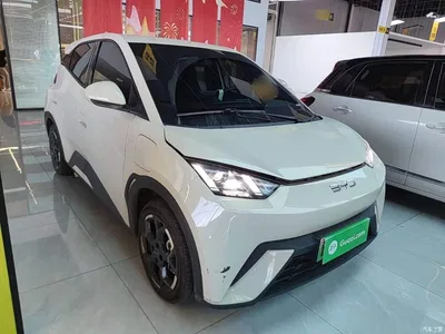 2024 BYD Seagull Glory Edition 405km Soaring Edition, фото 4, лот 10259462