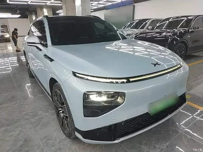 2022 XPeng G9 650 Performance Pro, фото 4, лот 10599023