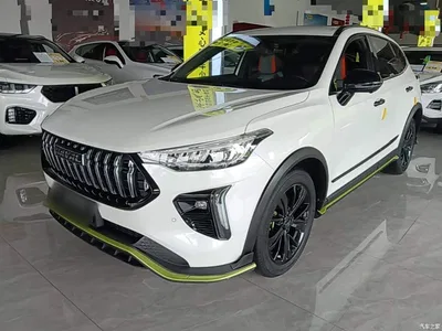 2021 Haval Chitu Turbo Edition 1.5T Golden Rabbit, фото 2, лот 11137654