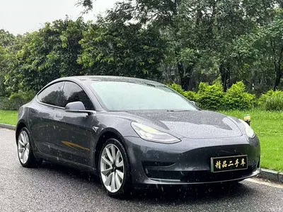2019 Tesla Model 3 Standard Range Rear-Wheel Drive Upgrade, фото 3, лот 10351568