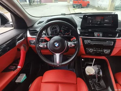 2021 BMW X2 sDrive25i Leading M Sport Package, фото 3, лот 10475642
