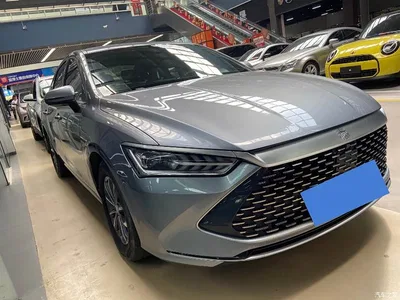 2024 BYD Qin PLUS Glory Edition DM-i 120KM Leading, фото 3, лот 10362946