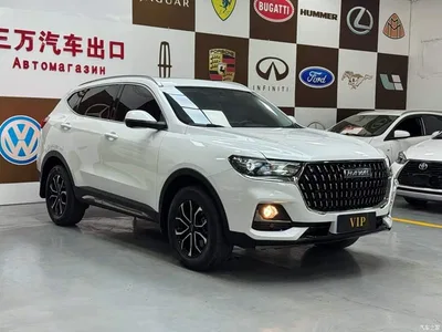 2023 Haval H6 National Trend Edition 1.5T Automatic Urban, фото 3, лот 10298864