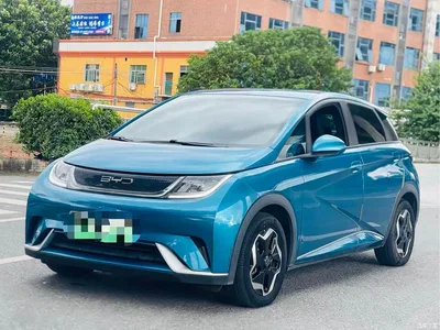 2021 BYD Dolphin 405km Freedom Edition, фото 1, лот 10245953