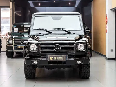 2010 Mercedes-Benz G-Class G 500, фото 2, лот 10280657