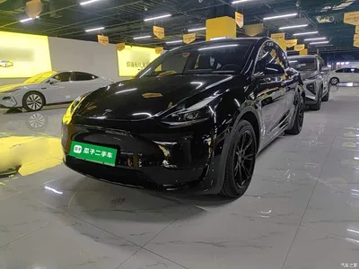 2023 Tesla Model Y Rear-Wheel Drive Edition, фото 1, лот 11219792