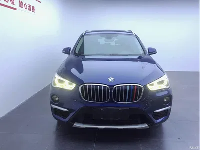 2018 BMW X1 xDrive20Li Luxury Model, фото 2, лот 10466695