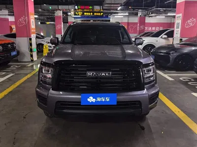 2025 Haval H5 2.0T Auto 4WD Navigation Edition (Gasoline), фото 2, лот 10298182