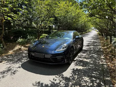 2023 Porsche Panamera 2.9T Platinum Edition, фото 2, лот 10435616