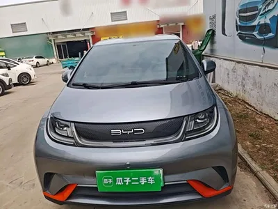 2021 BYD Dolphin 405km Freedom Edition, фото 3, лот 11250011