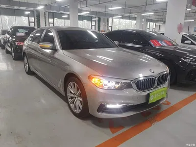 2018 BMW 5 Series 528Li Launch Special Edition, фото 4, лот 11503069