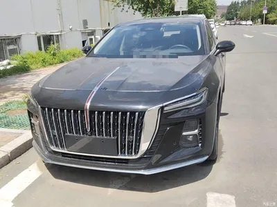 2023 Hongqi H5 2.0T Auto Smart Connect Flag Enjoy, фото 3, лот 10289631