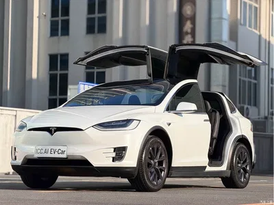 2019 Tesla Model X Long Range Version, фото 1, лот 10352751